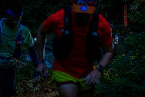 BIB: 
                            <button type="button" onclick="openModal(19309681)" class="btn btn-primary btn-sm float-right btn-popup" data-toggle="modal" data-target=".modal-high-quality">
                        <i class="fas fa-shopping-cart"></i> Add to Cart
                    </button>
                                            <button type="button" onclick="isThisMe(19309681, true)" class="btn btn-success btn-sm float-right btn-popup btn-isme hidden" data-toggle="tooltip" data-placement="bottom" title="นี่คือรูปของคุณใช่ไหม คลิกที่นี่เพื่อเอาเข้าอัลบั้ม">
                        <i class="fas fa-plus"></i> Add to album
                    </button>
                    <button type="button" onclick="isThisMe(19309681, false)" class="btn btn-warning btn-sm float-right btn-popup btn-isnotme hidden">
                        <i class="fas fa-ban"></i> Remove from album
                    </button>